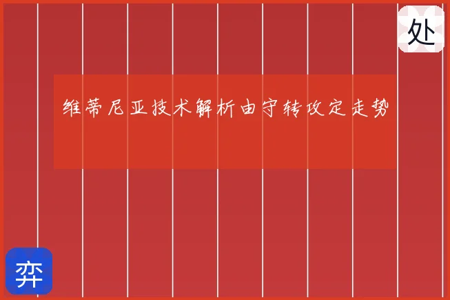 维蒂尼亚技术解析由守转攻定走势