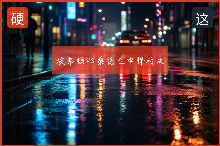 埃弗顿vs桑德兰中锋对决